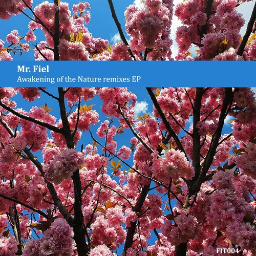 Mr. Fiel - Awakening of the Nature (Remixes) [FIT004]